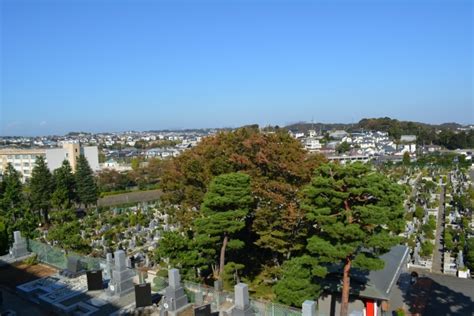 墓地風水|お墓の近くは風水でも凶相～対処方法はあるのでしょうか